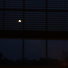 nobody (collection ep in info)