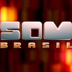 Prefixo do Verão(Ao Vivo - Som Brasil Axé Music) - Araketu & Netinho & Durval Lelys & Outros