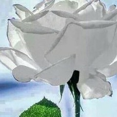 Rihana - Diamonds (8143868DxKs).mp3