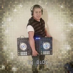 loko wiloo
