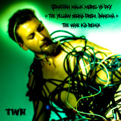 Jonathan Malik Morel Vs FKY "The Yellow Sound From Ipanema" (Remix By The Wise Kid)