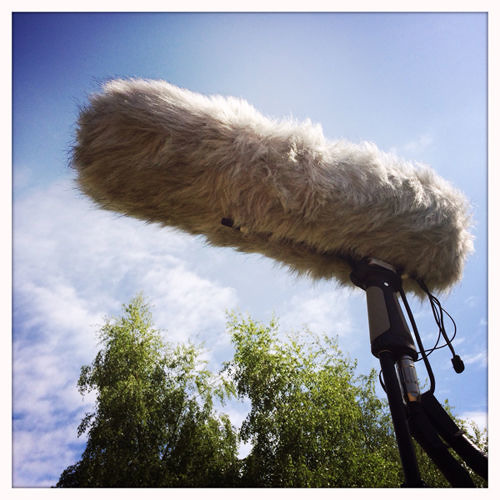 Forest Before The Rain (Sound Devices 702 + DPA 4060)