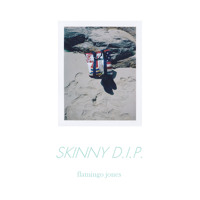 Flamingo Jones - Skinny D.I.P.