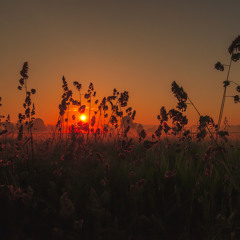 Ambient