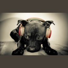 Deep House Beats.