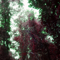 紫雲 (prod.ΔƧ†RФ)