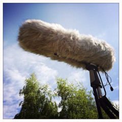 Hydrophone Running Dry (hydrophones)