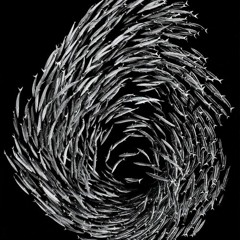 Astronaut - Podcast 002 | March 2015