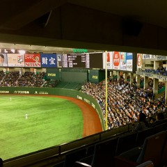 Baseball Crowd Japan 20150310