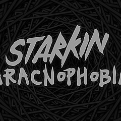 Starkin - Aracnophobia (Original Mix)