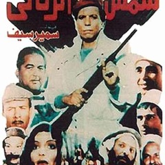 شمس الزناتى