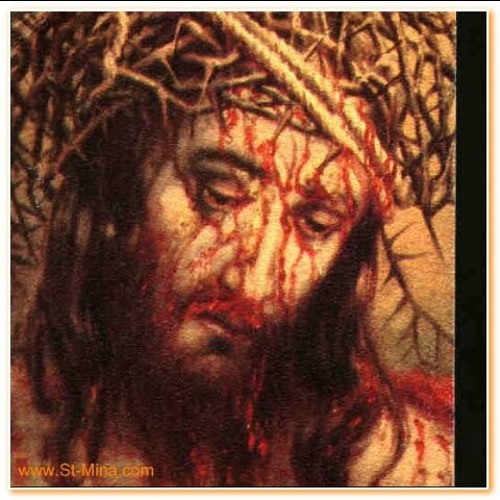 ترنيمة شايف شوك