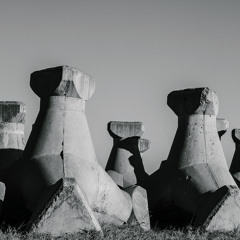 FIZIC02 02 Cosmin TRG - Vitriol (Clip)