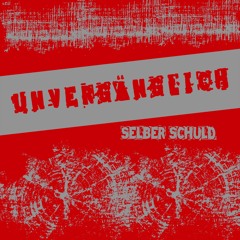 Selber Schuld
