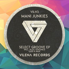 Mani Junkies - Select Groove (Gari R Remix)