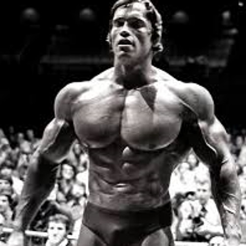 Stream Arnold Schwarzenegger Motivation - 6 Rules Of Success by DLoges |  Listen online for free on SoundCloud
