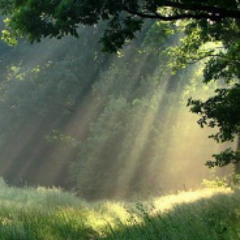 KCsGroove - Rays of Light