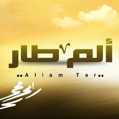 ألم طار