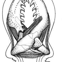 Trichloroethane Cetacean