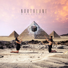 F_H_S - Northlane (Singularity)