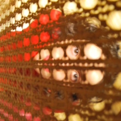 Show (Beth Gibbons cover)