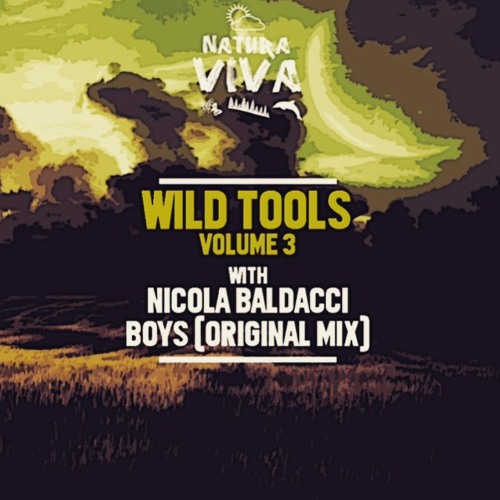 Nicola Baldacci - Boys ( Original Mix )