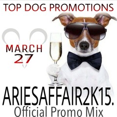 Top Dog Aries Affair Promo