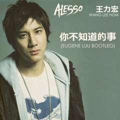Alesso ft. Wang Lee Hom 王力宏 - 你不知道的事 Silenced By The Things You Never Knew (Eugene Luu Bootleg)