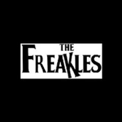 The Beatles Cover by The Freakles - "IF I FELL"