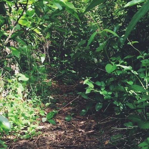 ｕｎｄｅｒｇｒｏｗｔｈ