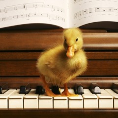 Kleine Klavier Improvisation zu später Stunde