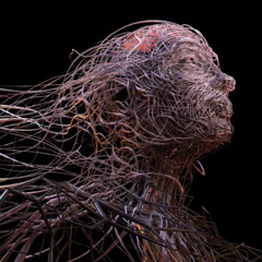 VIcarious Tool cover