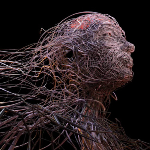 VIcarious Tool cover