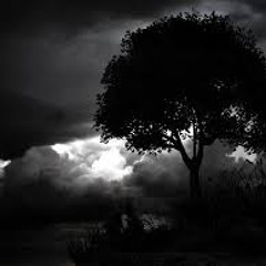 THE PROBLEM CHILD-NO SUNSHINE