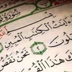 الشيخ عادل رضا _ سورة يوسف