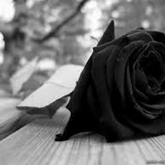 وردا سودا <3