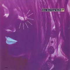 The Darling Buds -  Crystal Clear (Extended Version)