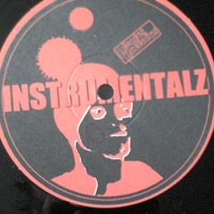 Spit'N'Flash - Worum Gehtz (Lost Track 1999)