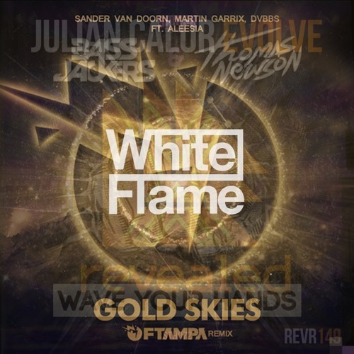 FTampa vs. Bassjackers vs. Julian calor - Wave & Evolve Your Gold Hands (WhiteFlame Mashup)