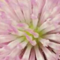 My love will get you home