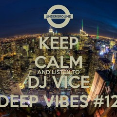 DJ Vice - Deep Vibes #12