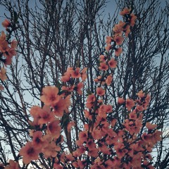 تالي الليل بصوتي الجميل :)