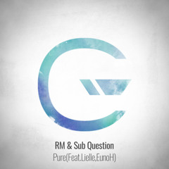 RM&Sub Question - Pure(feat.Lielle,EunoH)