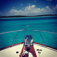 No Type (NU Interpretation)