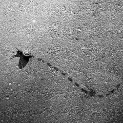 kamkin\drannic collab 2001 - Trial Trip