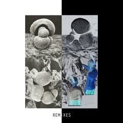 North2North - Not The Only One (Hndmade remix)