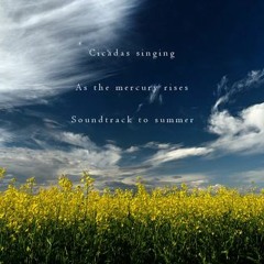 Summer Song [naviarhaiku062 - Cicadas singing]