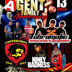 AGENT FAMILY ANNIVERSARY (MANDEVILLE)COPPERSHOT & CHROMATIC