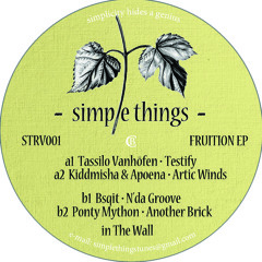 [STRV001] B2. Ponty Mython -  Another Brick In The Wall
