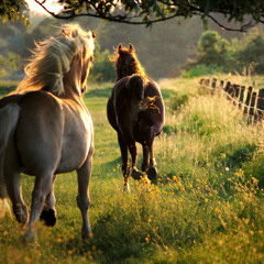 Riding on Wild Horses (Composition No. 2)